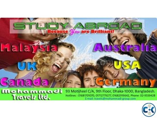 USA UK Germany Italy Sweden France Spain 100 Visa