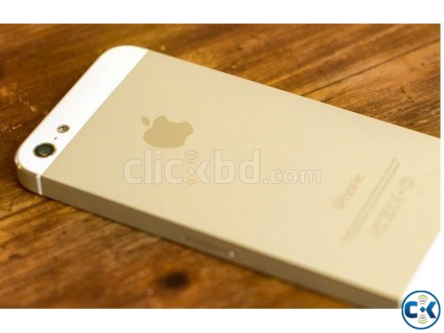 iPhone 5 32 GB Factory Unlocked Golden Color... large image 0