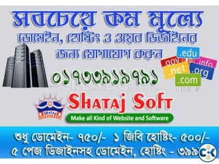 Domain and Hosting