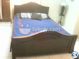 Double Bed Shegun 