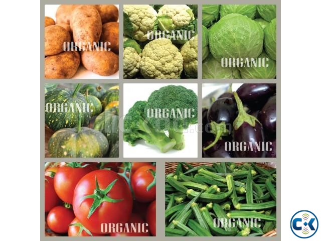 Organic Vegetables large image 0