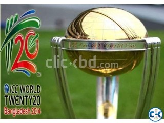 Semi Final Final Original Tickets T20 WORL CUP