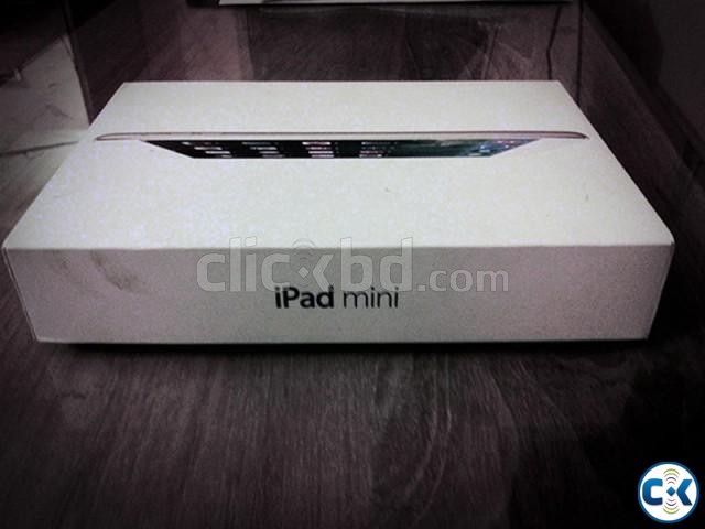 NEW IN BOX iPad Mini 16GB WiFi large image 0
