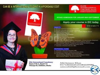 Professional and Student Visa In malaysia