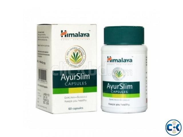 Ayur Slim Capsules large image 0