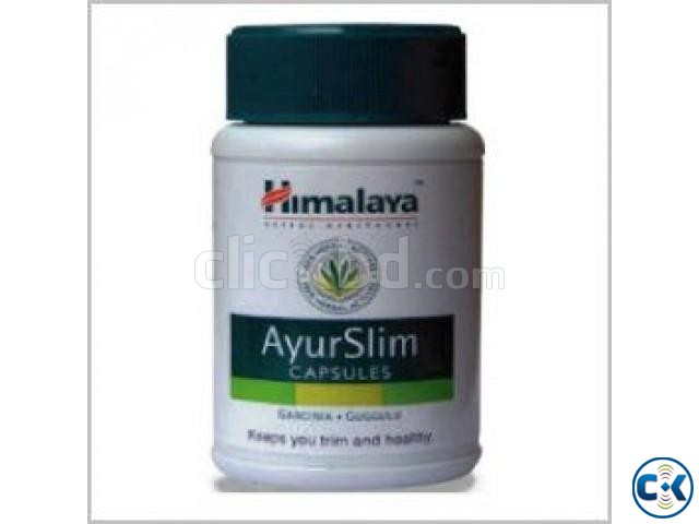 Ayur Slim Capsules large image 0