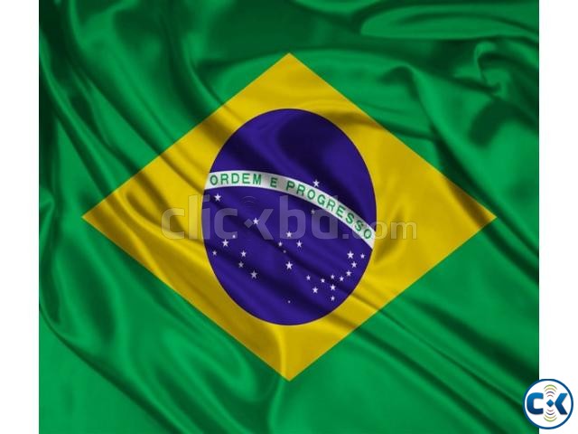 Flag of Brazil large image 0