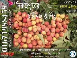 China 3 Lichu of Dinajpur Code 6033