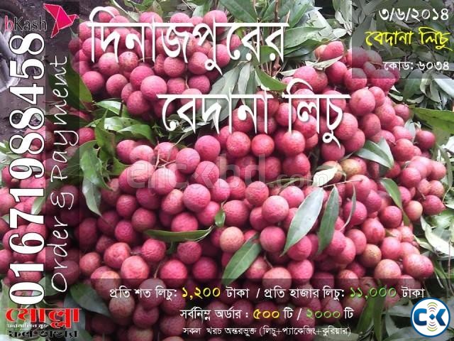 Bedana Lichu of Dinajpur Code 6034 large image 0