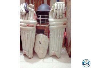 Cricket Equipment Set