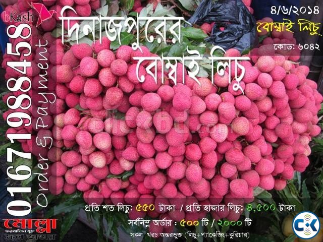 Bombay Lichu of Dinajpur Code 6042 large image 0