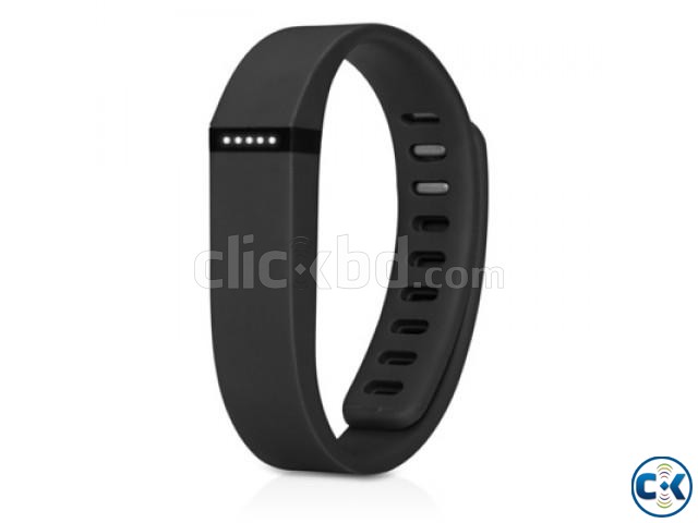 Fitbit Flex Wireless Activity Sleep Tracker large image 0