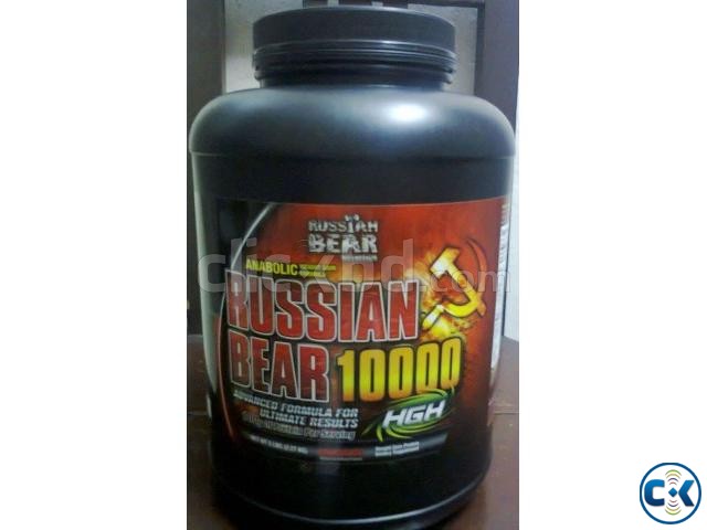 Russian Bear 10000 Weight Gainer 5lbs large image 0