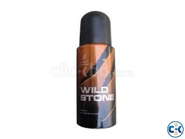 WILD STONE BODY SPRAY large image 0