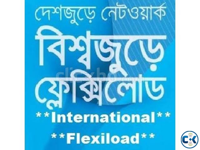 International Flexiload large image 0