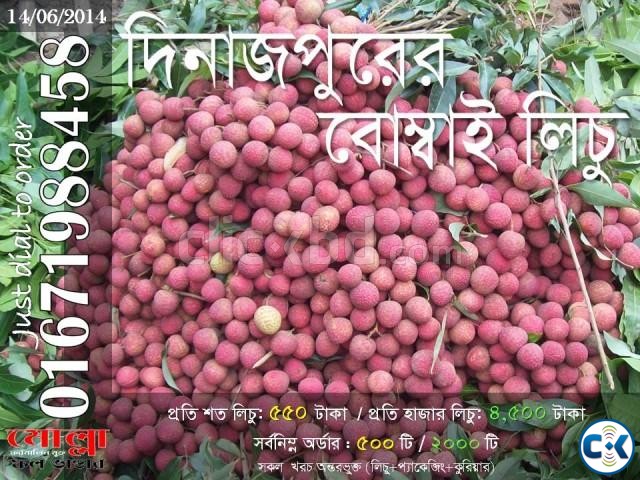 Bombay Lichu of Dinajpur Code 6142 large image 0