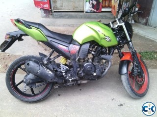 Fzs custom