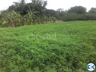 Cheapest Fresh Land Dhamrai