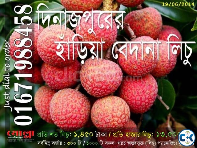 Haria Bedana Lichu of Dinajpur large image 0