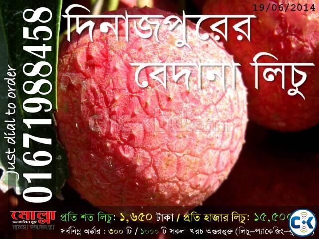 Bedana Lichu from Dinajpur large image 0