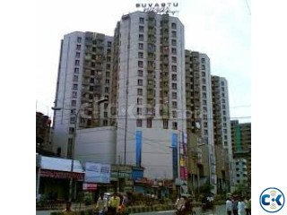 4 bed room flat rent from September shuvastu nazar valley