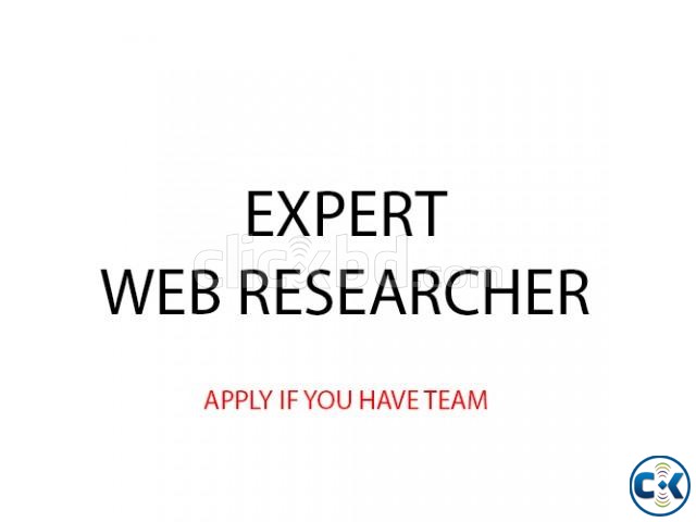 Need web researcher and Data entry team large image 0