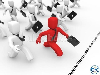 Marketing Executive