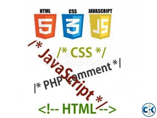Looking for Website Developer Website Designer Coder