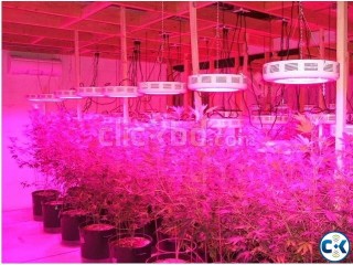 LED grow light 80W