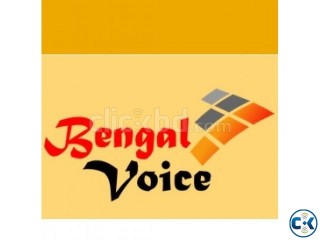 BD GREY 0.0175 Bengal Voice Reseller Available 