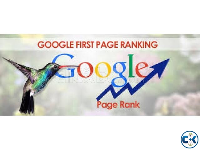 Google 1st page ranking large image 0