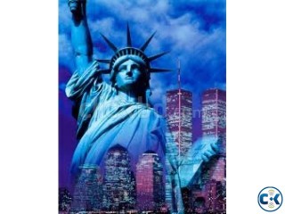 USA 5YEARS MULTIPLE VISA