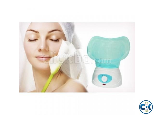 Beauty Facial Steamer Machine Thermal Skin New  large image 0