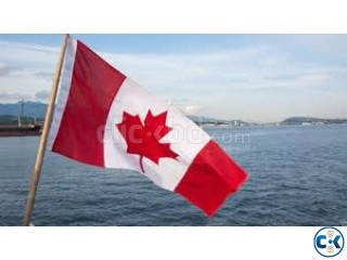 Genuin Jobs in Canada