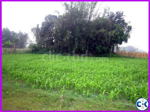 Barir Upojogi Cheapest High Land large image 0