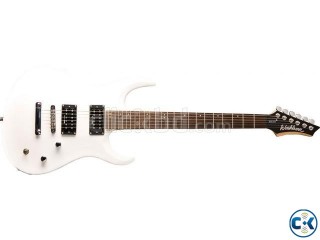 washburn XMSTD CALL 01679009737
