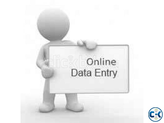 Data Entry large image 0