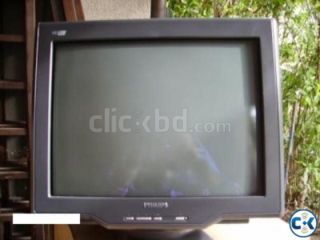 Philips CRT Monitor 17  large image 0