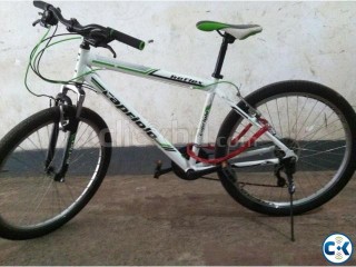 Reflex Capriolo alloy body