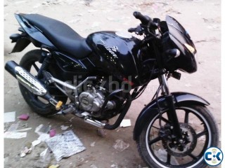 Pulsar Black Edition