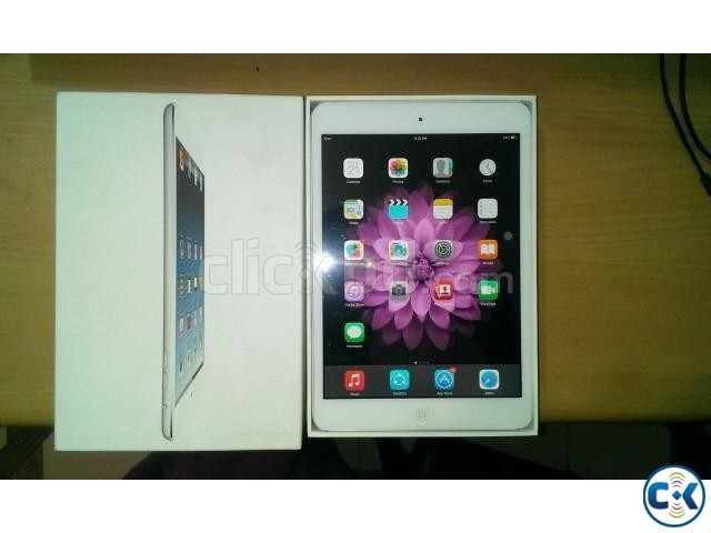 iPad Mini 16 GB large image 0