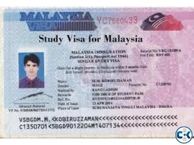 professional visa malaysia large image 0