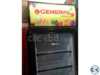 General Fridge Showcase 14 CFT --