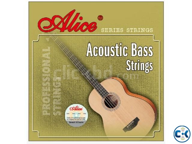 Acoustic Guitar BASS 4 string large image 0