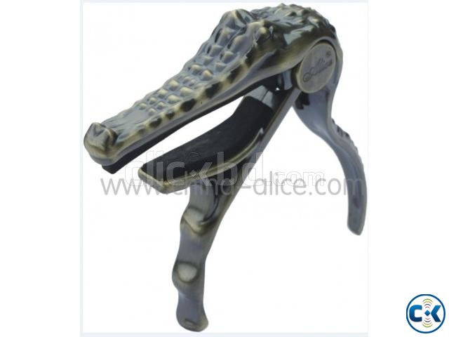 Alice Crocodile A007G-BR Capo large image 0