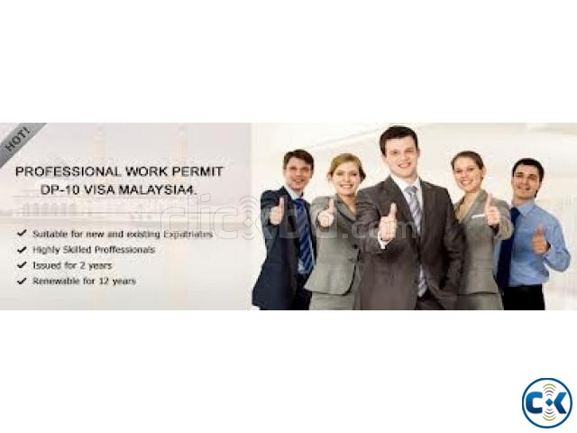 Professional Work Permit for IT Professional Only large image 0