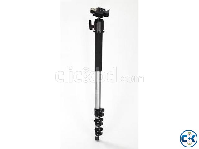 SIMPEX monopod 1212 . ELECTRIC DREAM large image 0