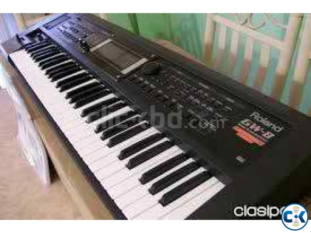 Roland GW-8 Intact cartoon large image 0