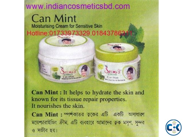 Can Mint Moisturiser large image 0