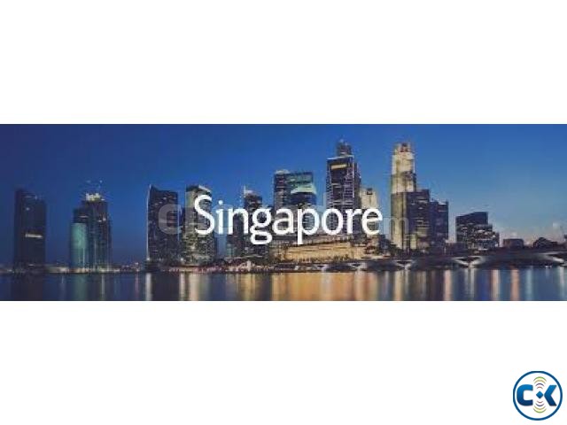 Singapore visa with invitation large image 0